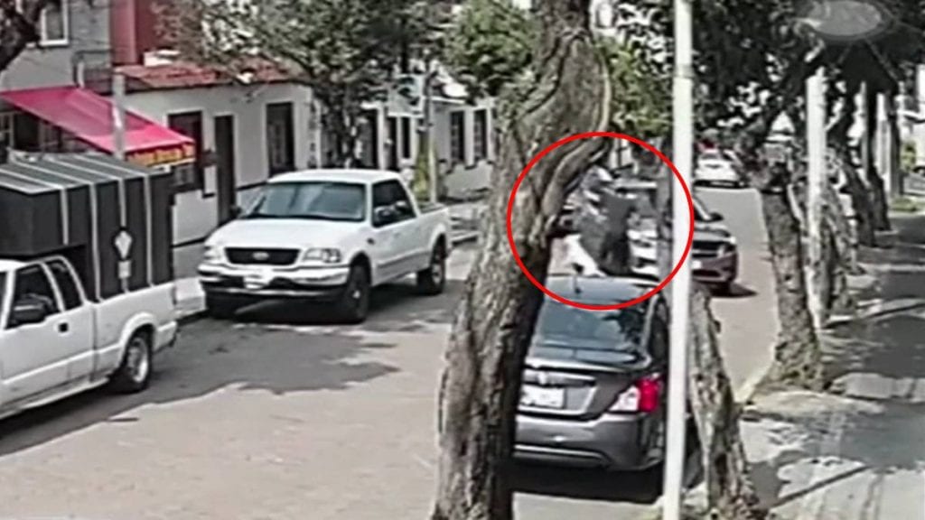 Auto de un juez atropella a un joven y su perro, intencionalmente (video)