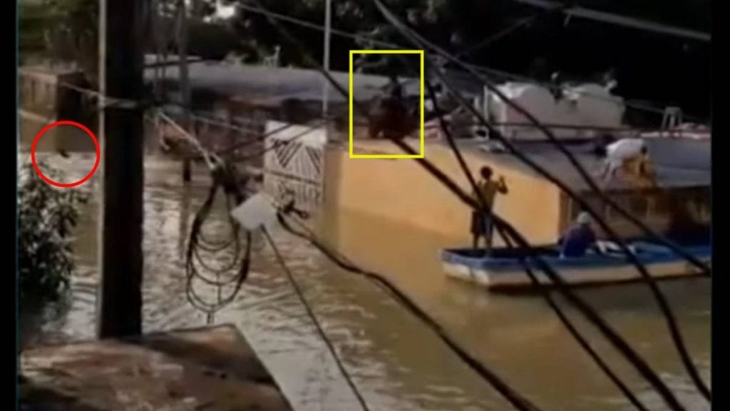 Juegan "tiro al blanco" con ladrón por robar durante la inundación (video)