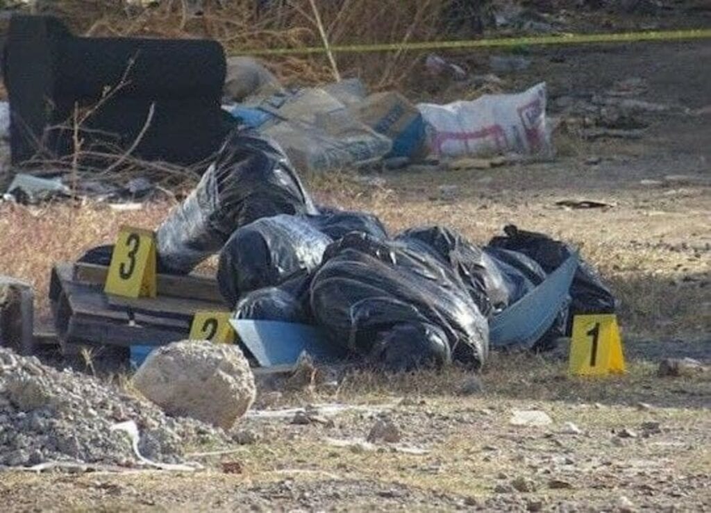Un pepenador, que buscaba plástico y cartón descubrió tres cadáveres dentro de bolsas, en un terreno, en León, Guanajuato.