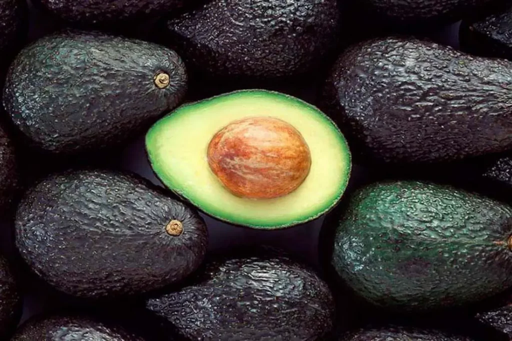 Aguacate Hass.