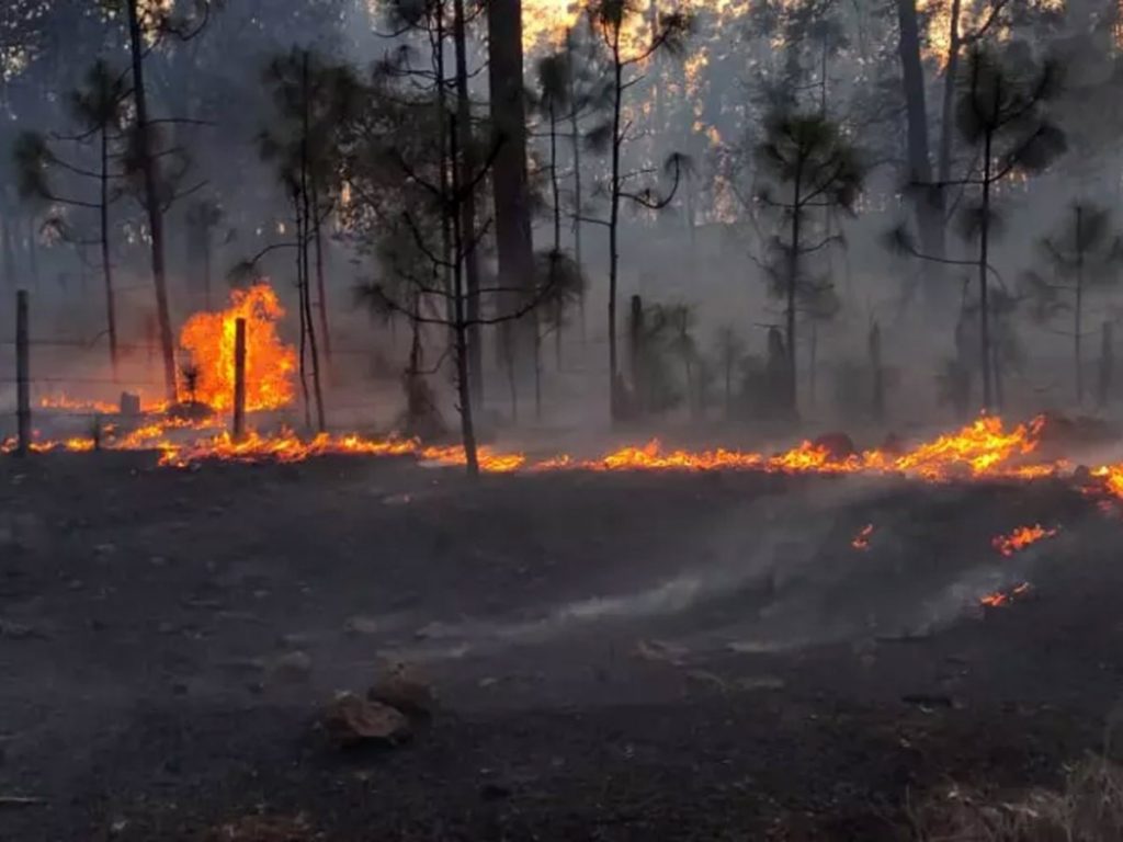 Suman 43 incendios forestales en Hidalgo