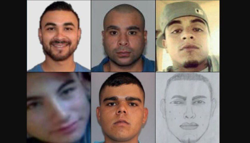 Ubican a 6 responsables de fusilamiento en Michoacán.