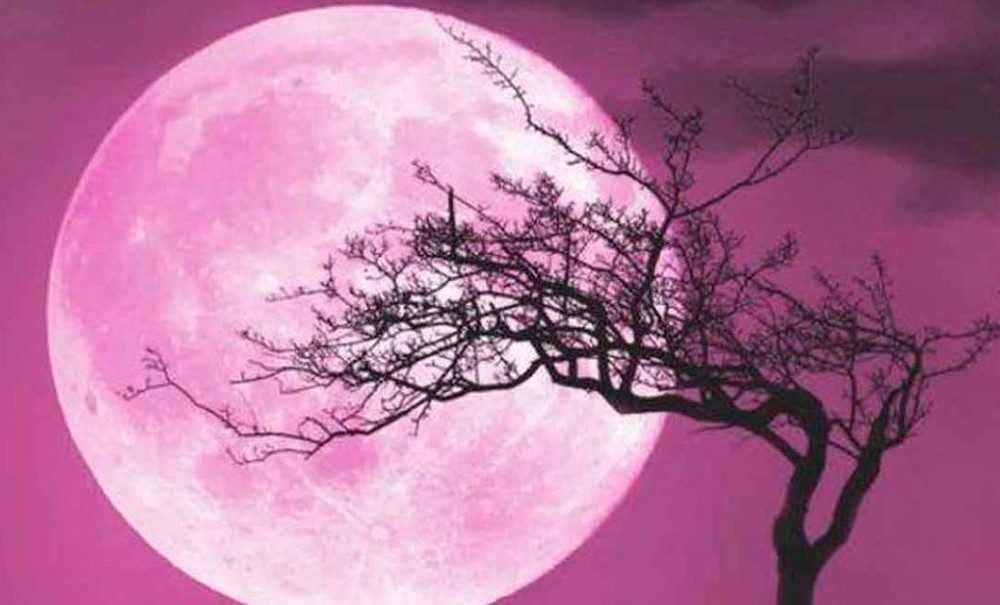 Luna rosa y eclipse solar, los fenómenos astronómicos de abril