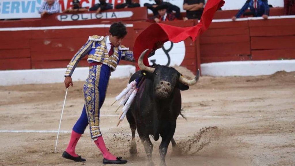 Proponen corridas de toros como en Portugal o Las Vegas, donde no se lastima a los toros