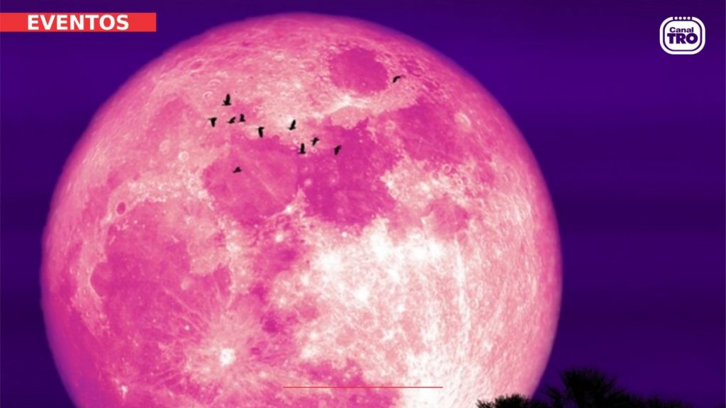 Superluna de fresa, ¿cuándo y dónde ver este fenómeno astronómico?
