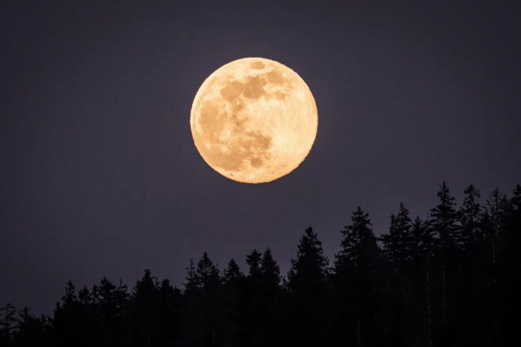 Luna llena de agosto 2022, ¿cuándo es posible verla?
