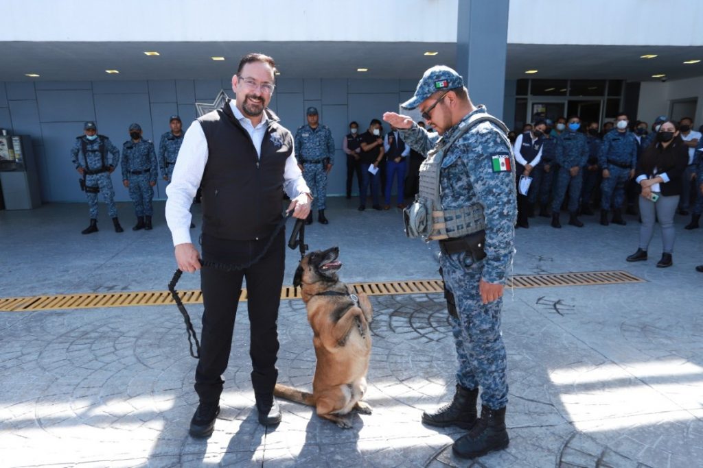 Lazca, perro policía de Hidalgo, se jubila tras servir 6 años a la SSPH