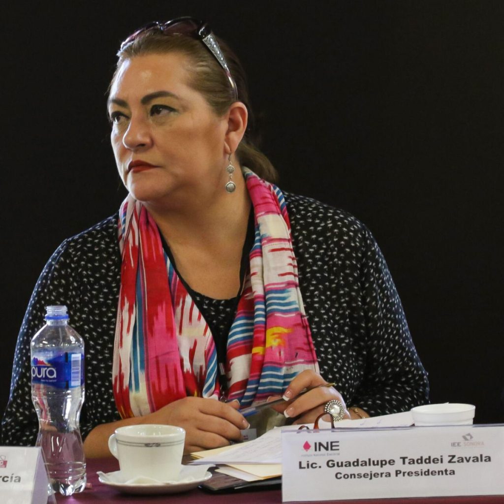 ¿Quién es Guadalupe Taddei Zavala, elegida por sorteo como la próxima presidenta del INE?