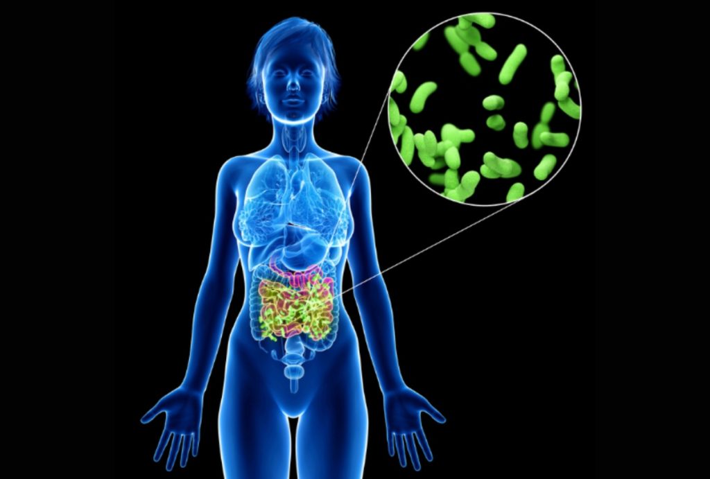¿Qué es el microbioma y por qué se conmemora este 27 de junio?