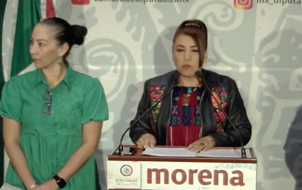 Diputada de Morena demanda frenar distribución de libros de texto de la SEP