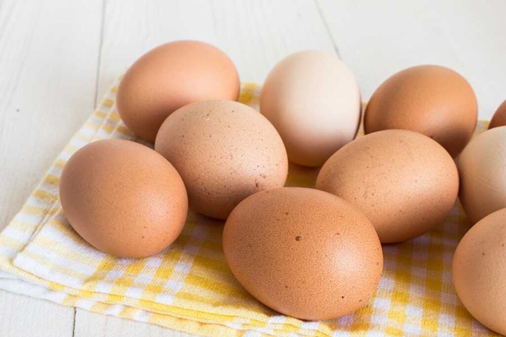 Día Mundial del Huevo, celebrando un alimento básico y altamente nutritivo