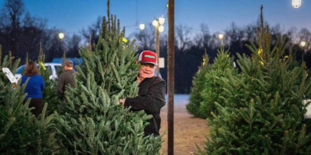 Vive la experiencia de cortar tu propio árbol de Navidad en la CDMX y el Estado de México.