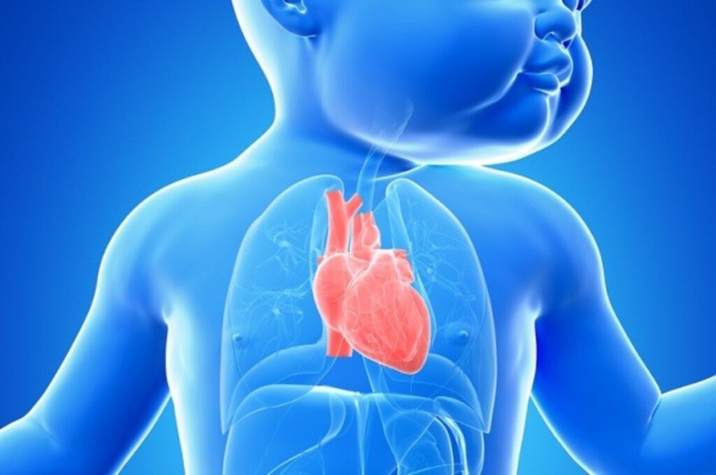 El 14 de febrero también es el Día Mundial de las Cardiopatías Congénitas