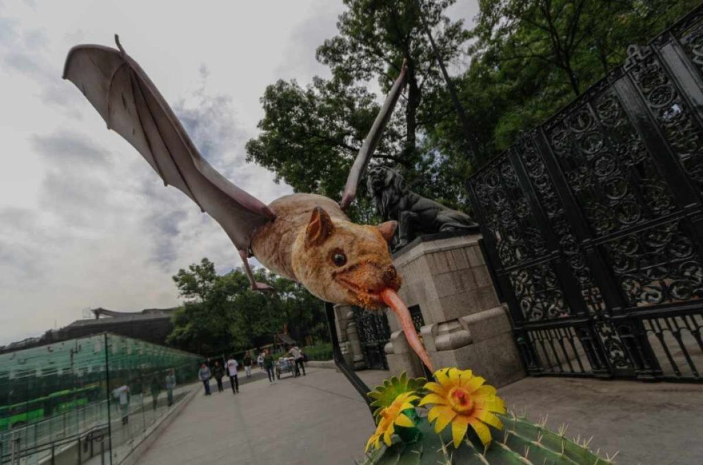 ¿Sin plan este fin? Ve al Picnic Nocturno: Noche de Murciélagos en el Bosque de Chapultepec
